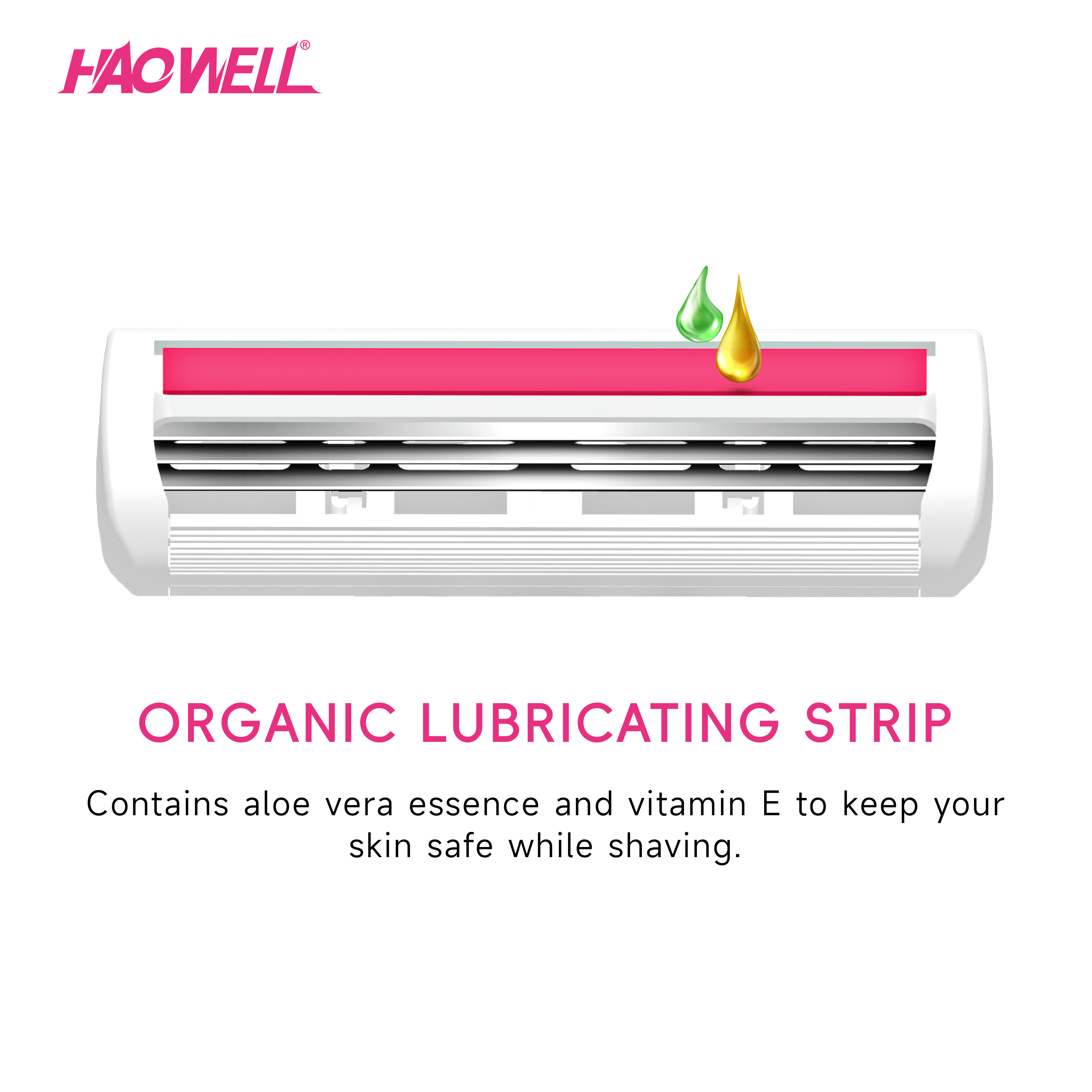 Basics 3-Blade Razor For Women, Handle, 22 Cartridges & Shower Hanger