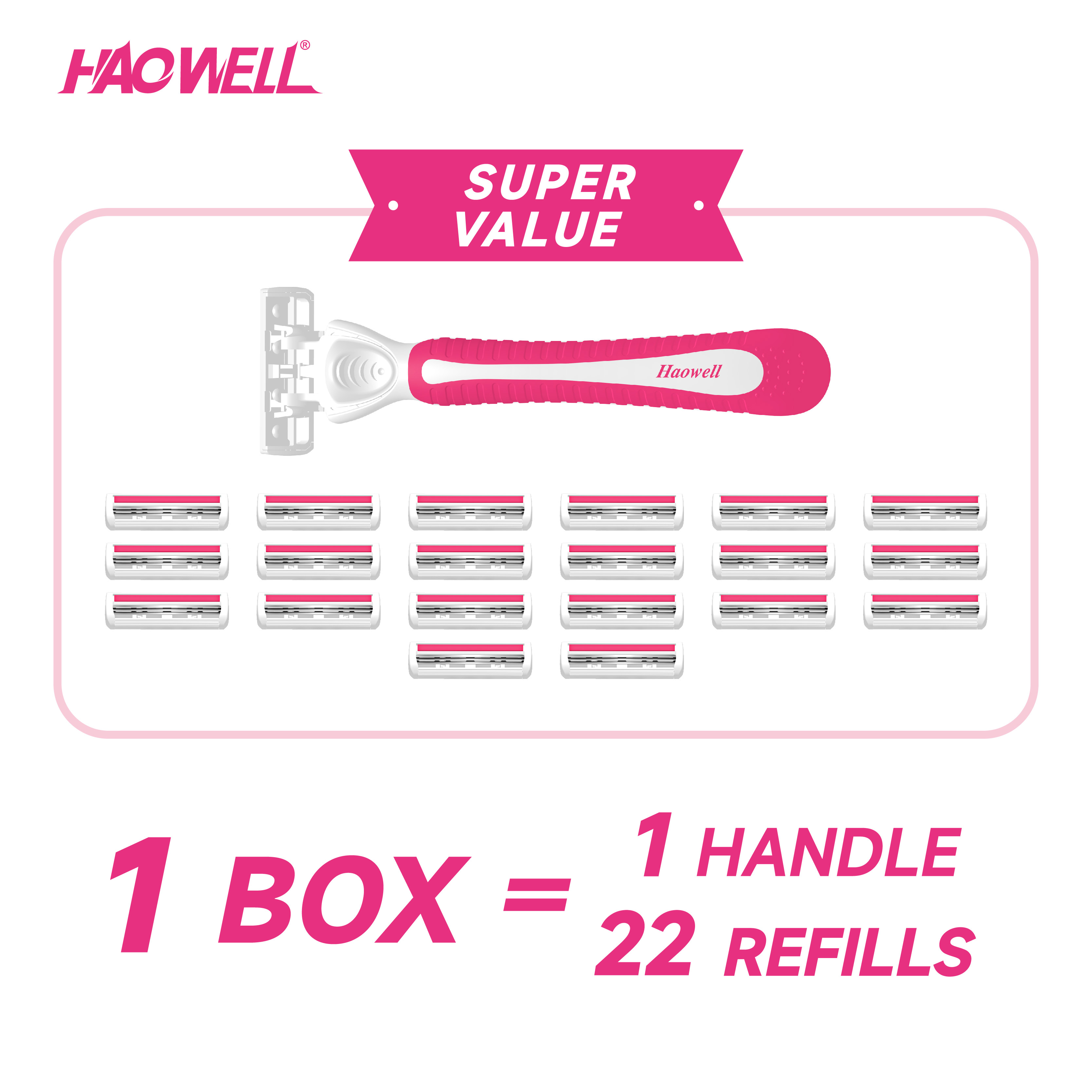 Basics 3-Blade Razor For Women, Handle, 22 Cartridges & Shower Hanger
